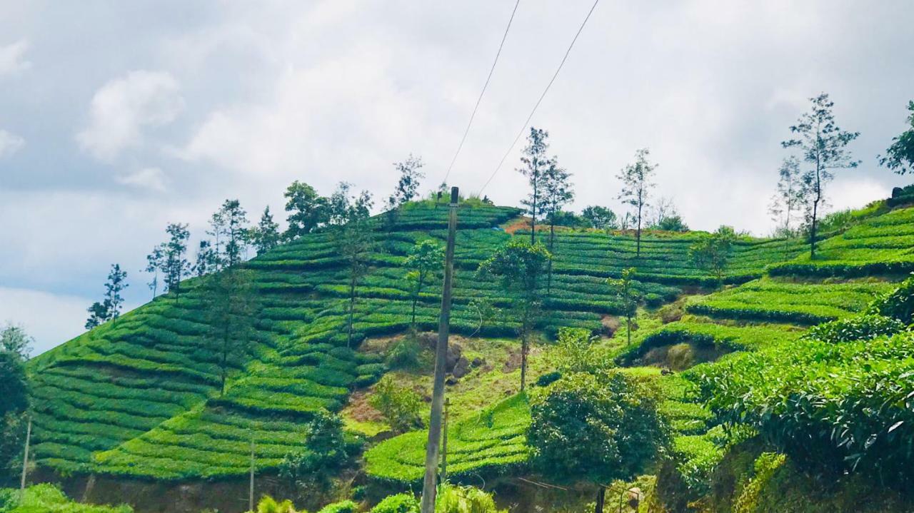 Tabor Hills Resort Vagamon Exteriör bild