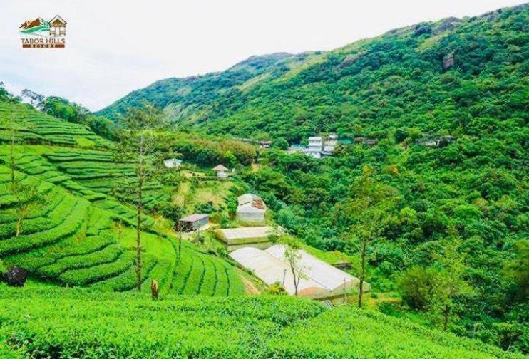 Tabor Hills Resort Vagamon Exteriör bild